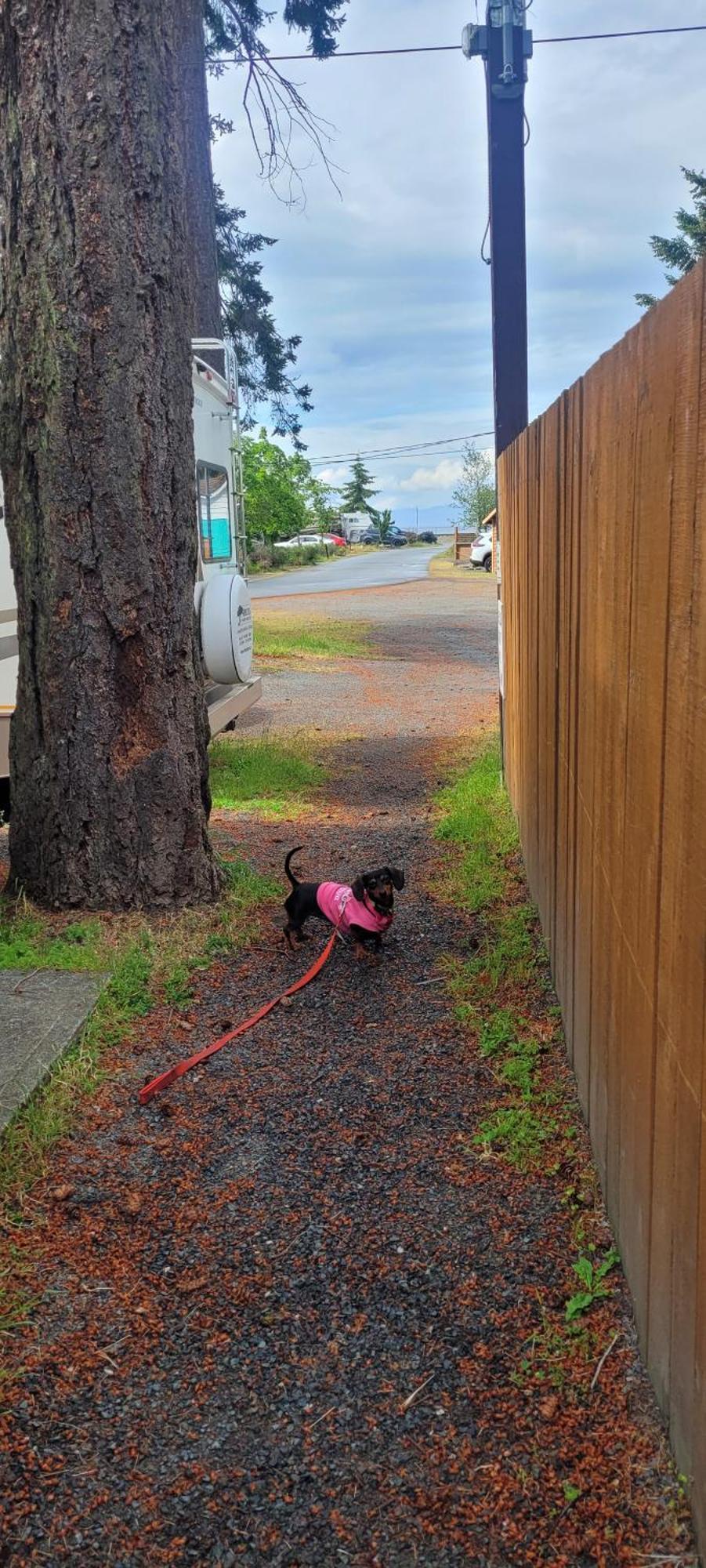 Cute Tiny Home At Park Sands Resort Parksville Luaran gambar