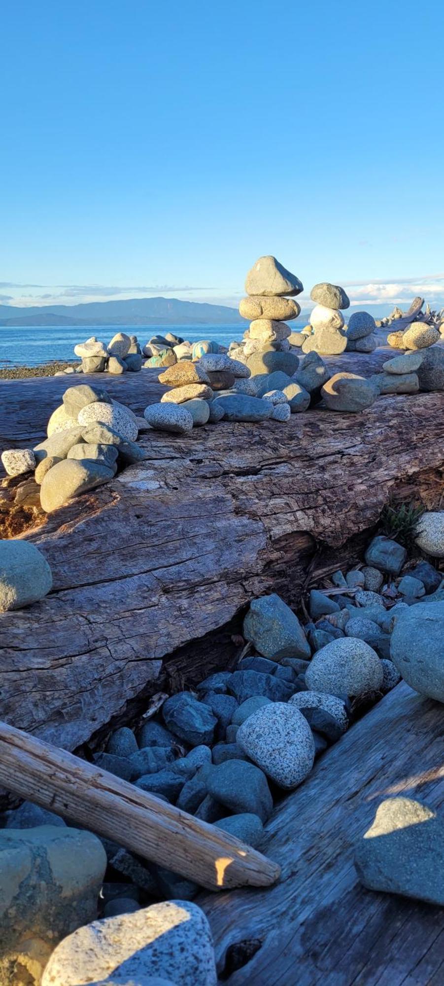 Cute Tiny Home At Park Sands Resort Parksville Luaran gambar